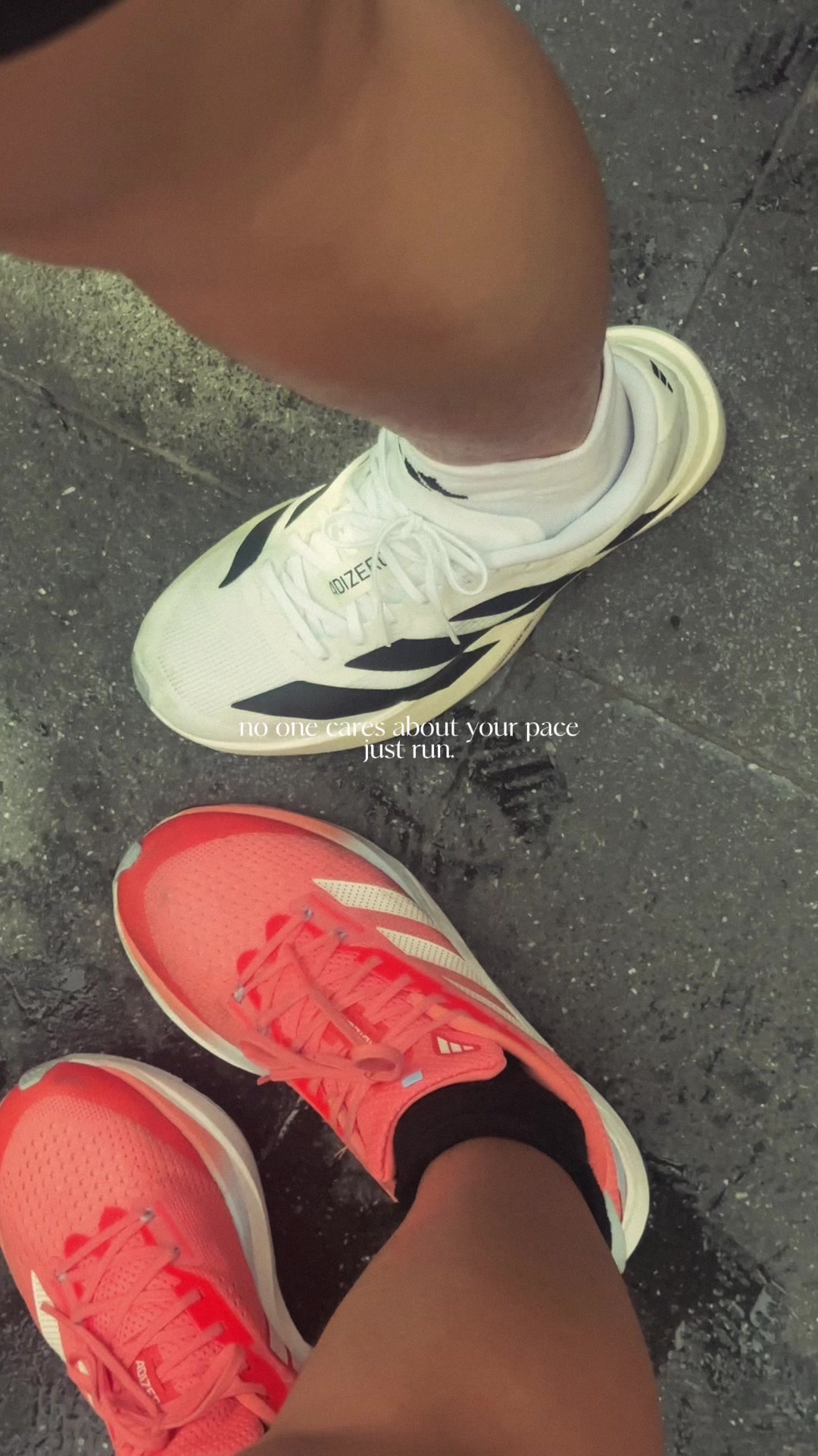@Puple Lampad