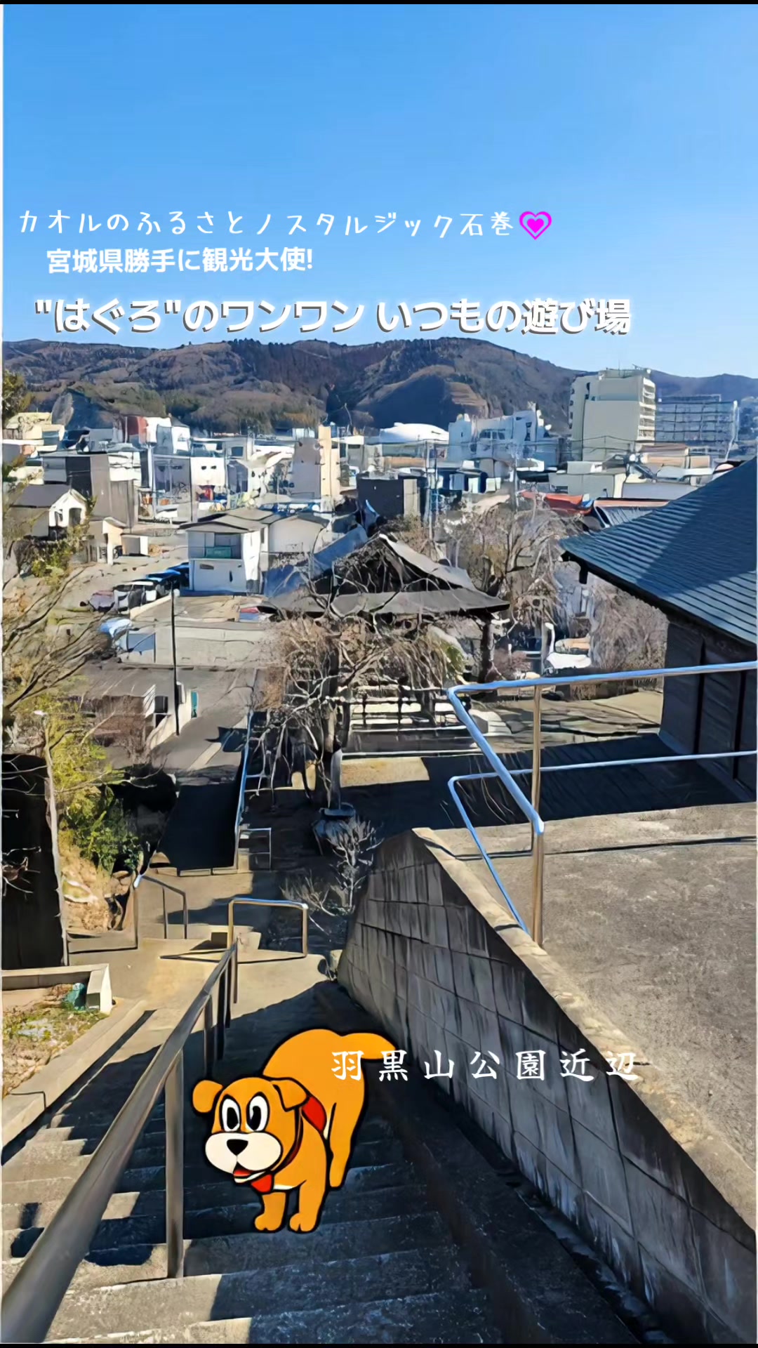 @cjカオル