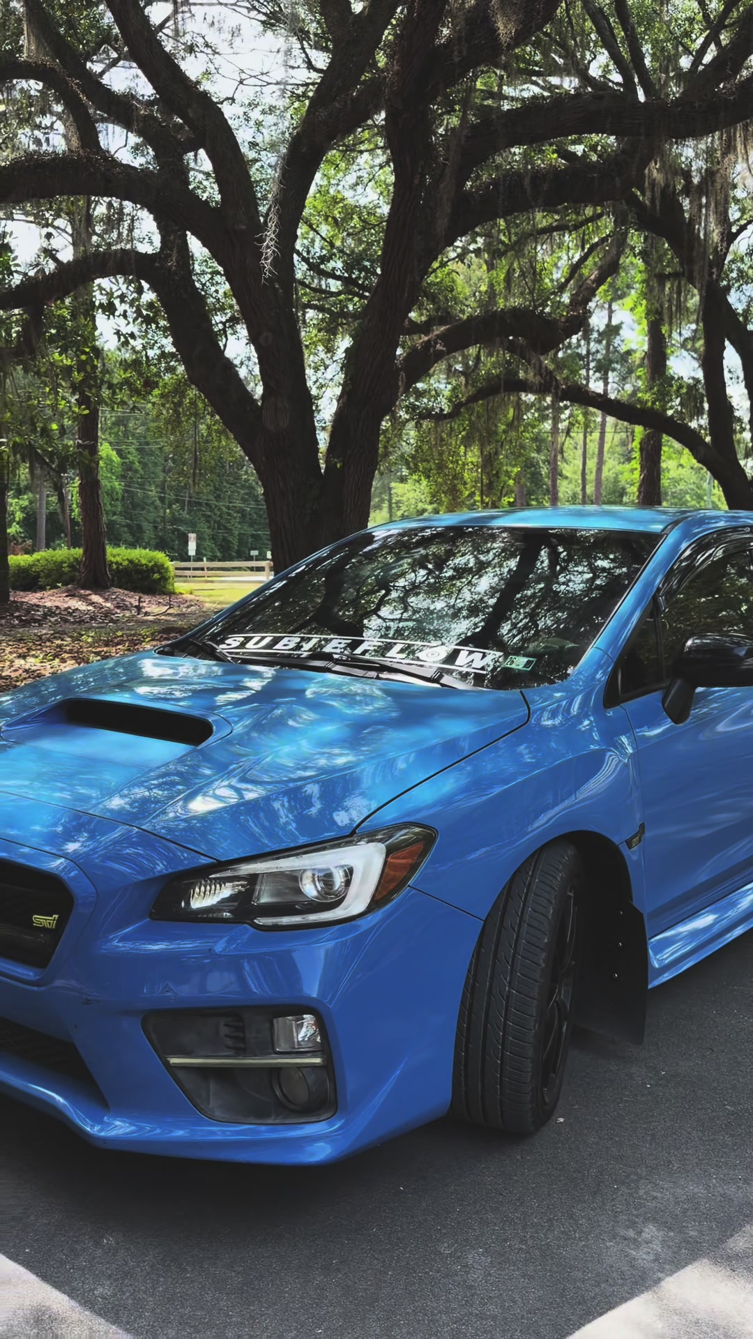 @sti_hay