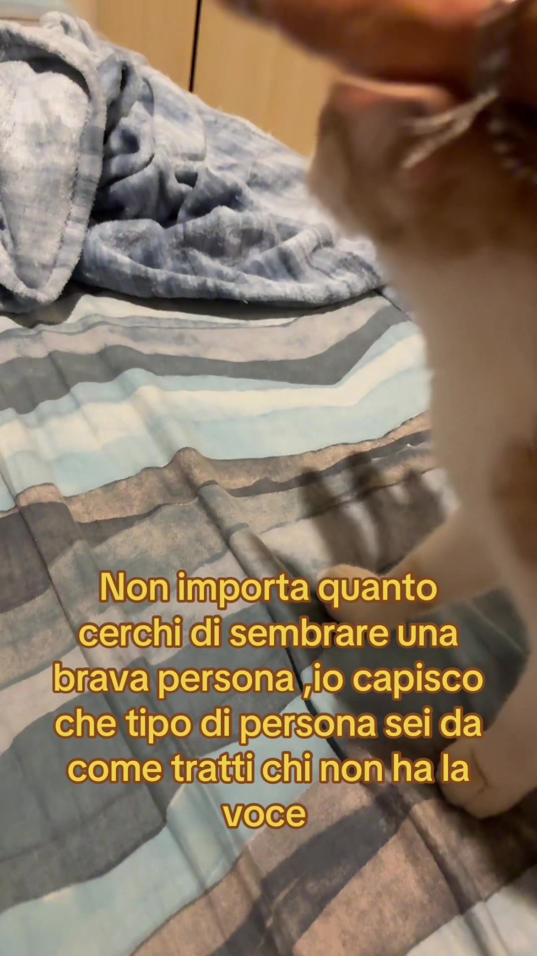 @zenika72