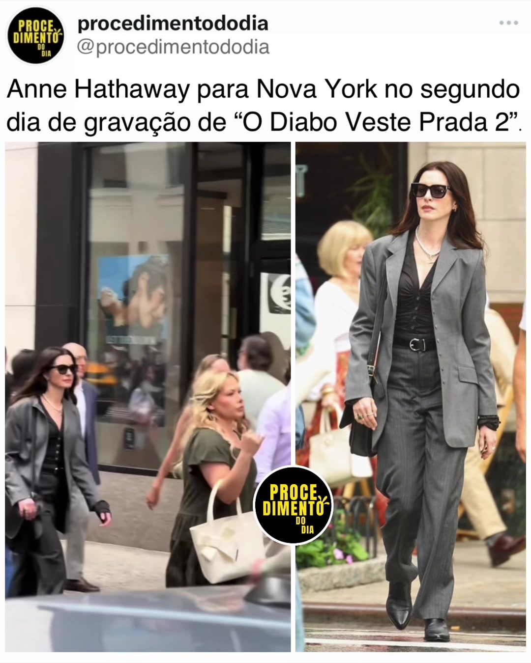 @procedimentododia