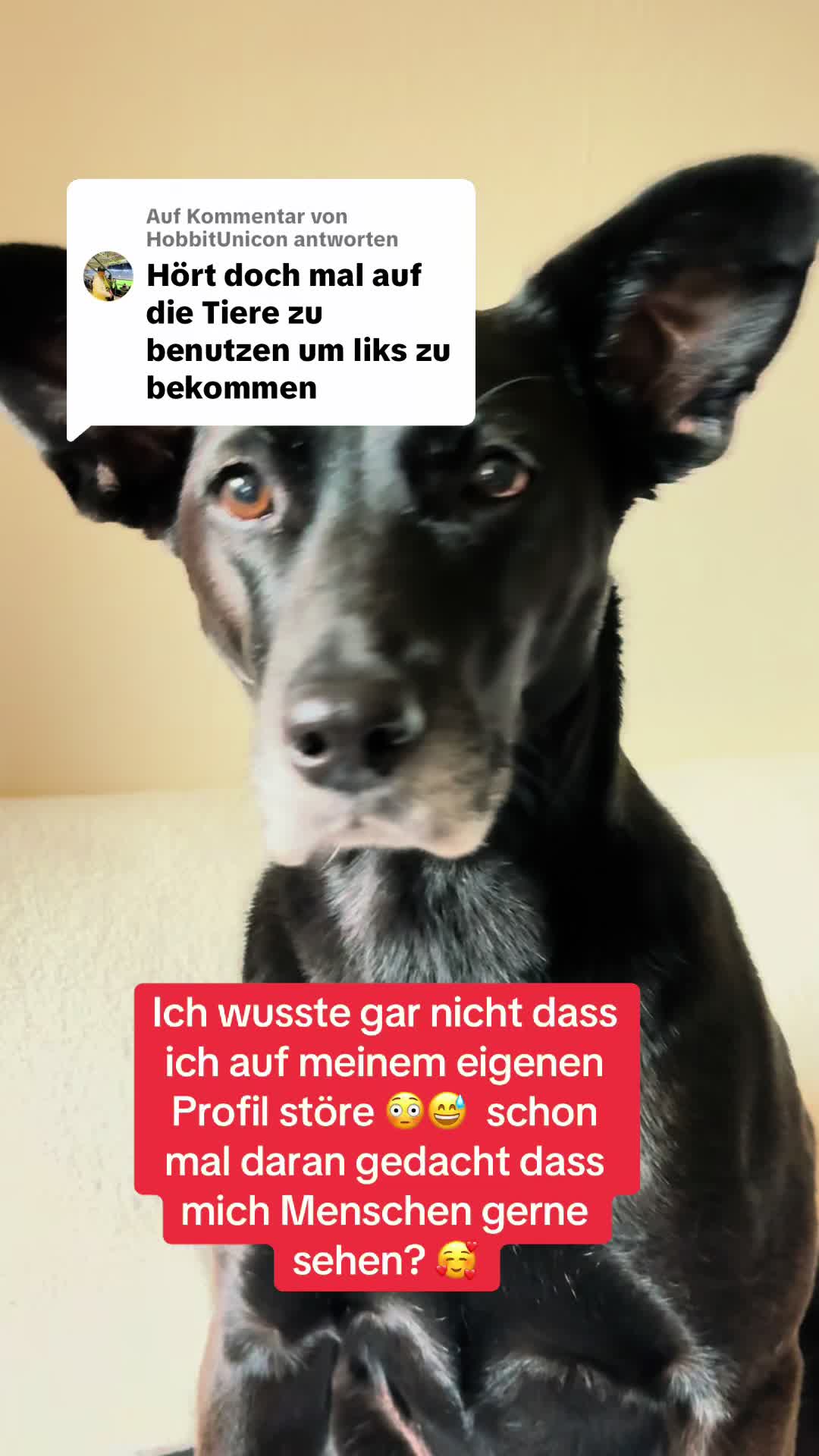 @BLACKY 🐶🐾