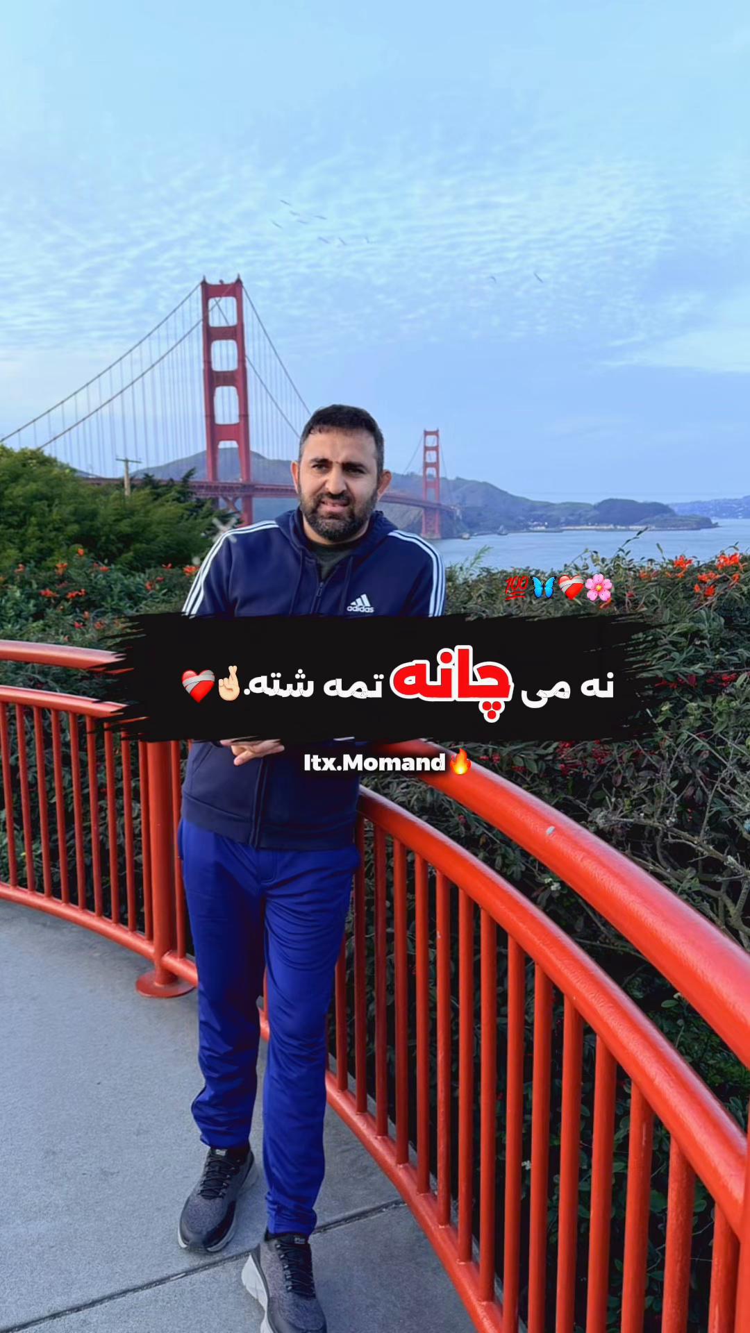 @Naseem safi