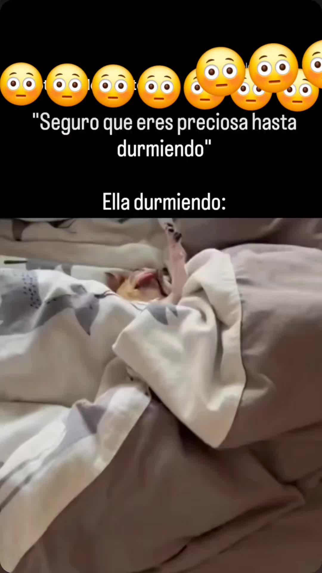 @chapischapis