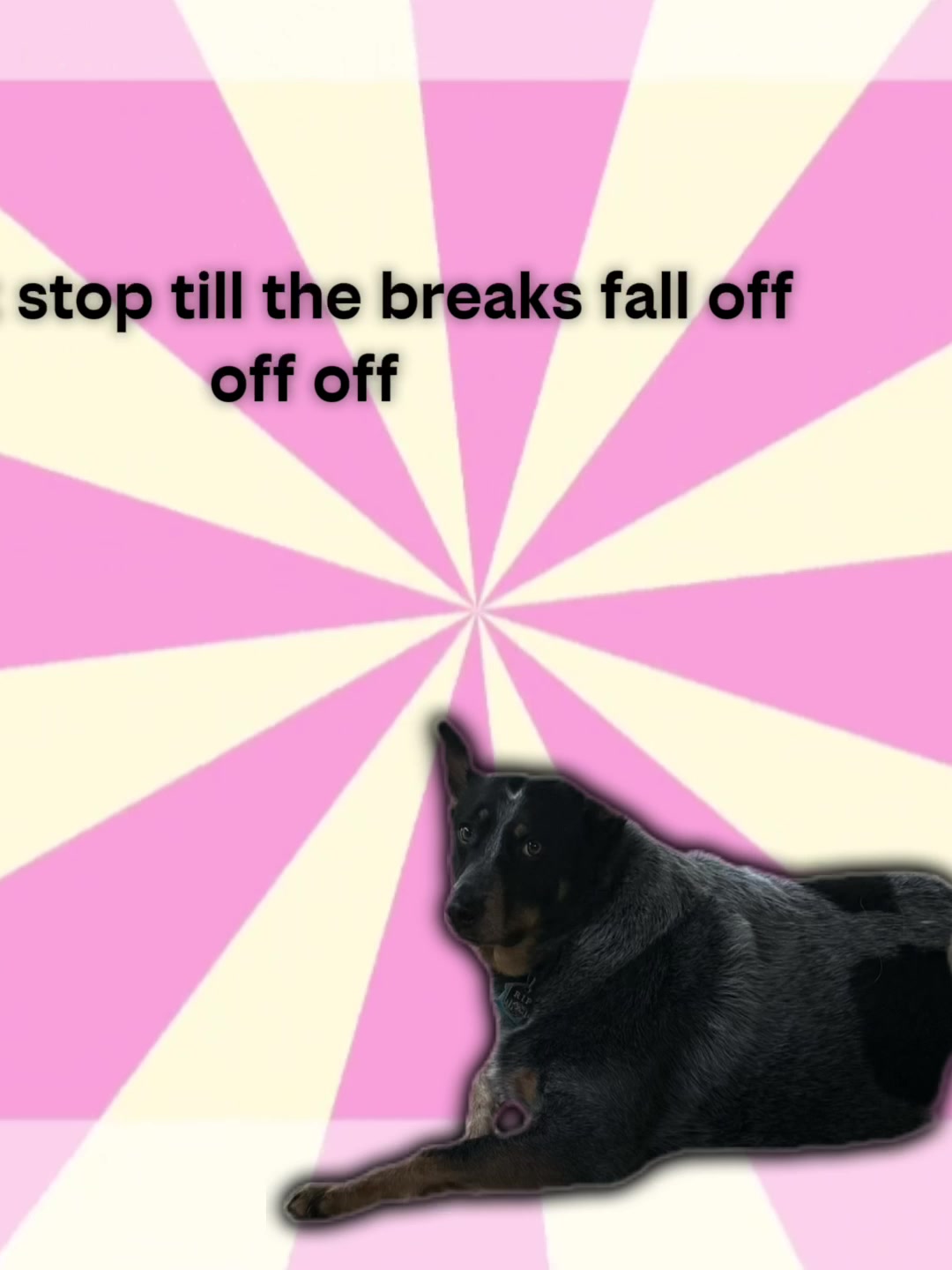 @Maddie