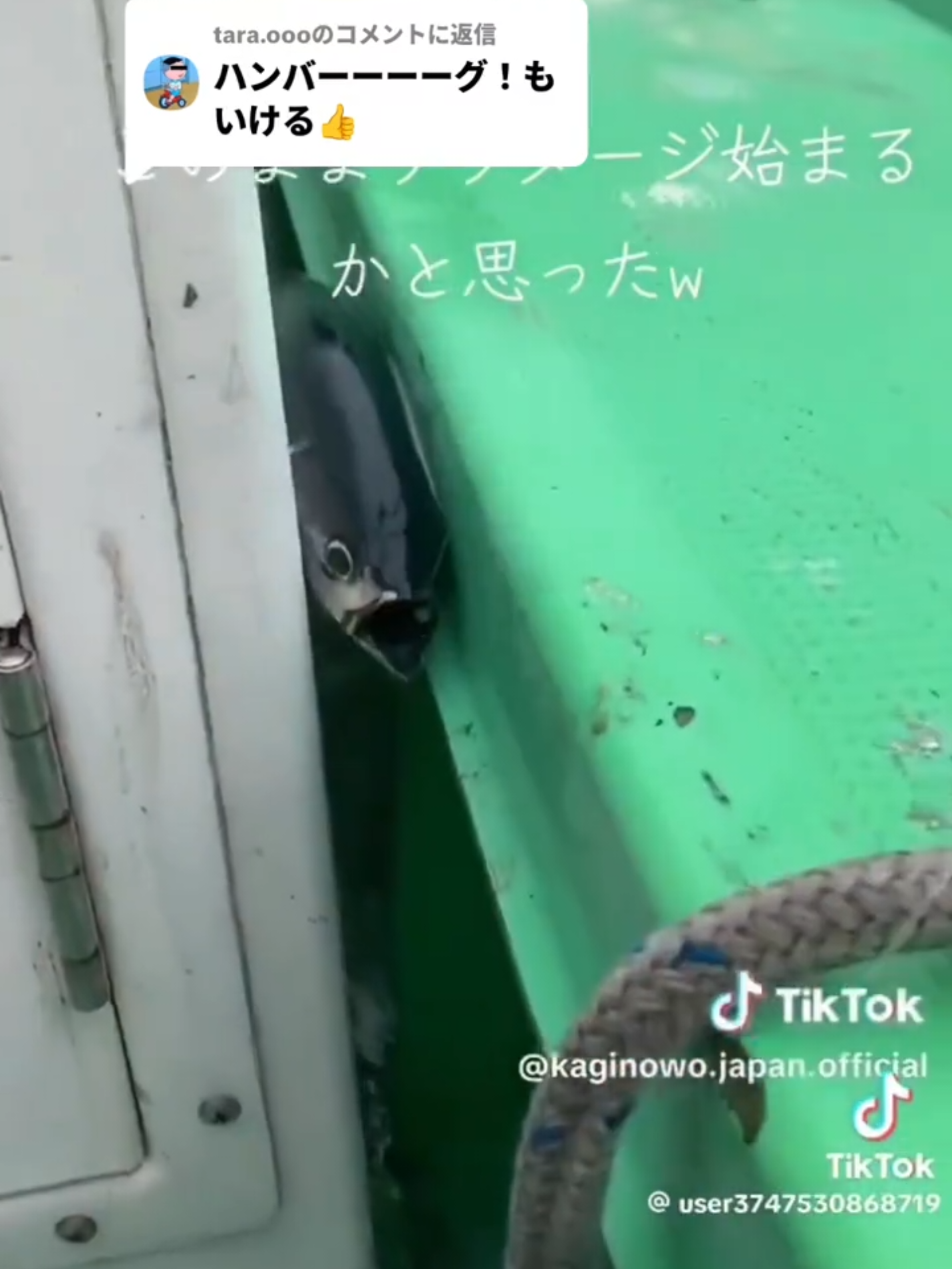 @タピオカ