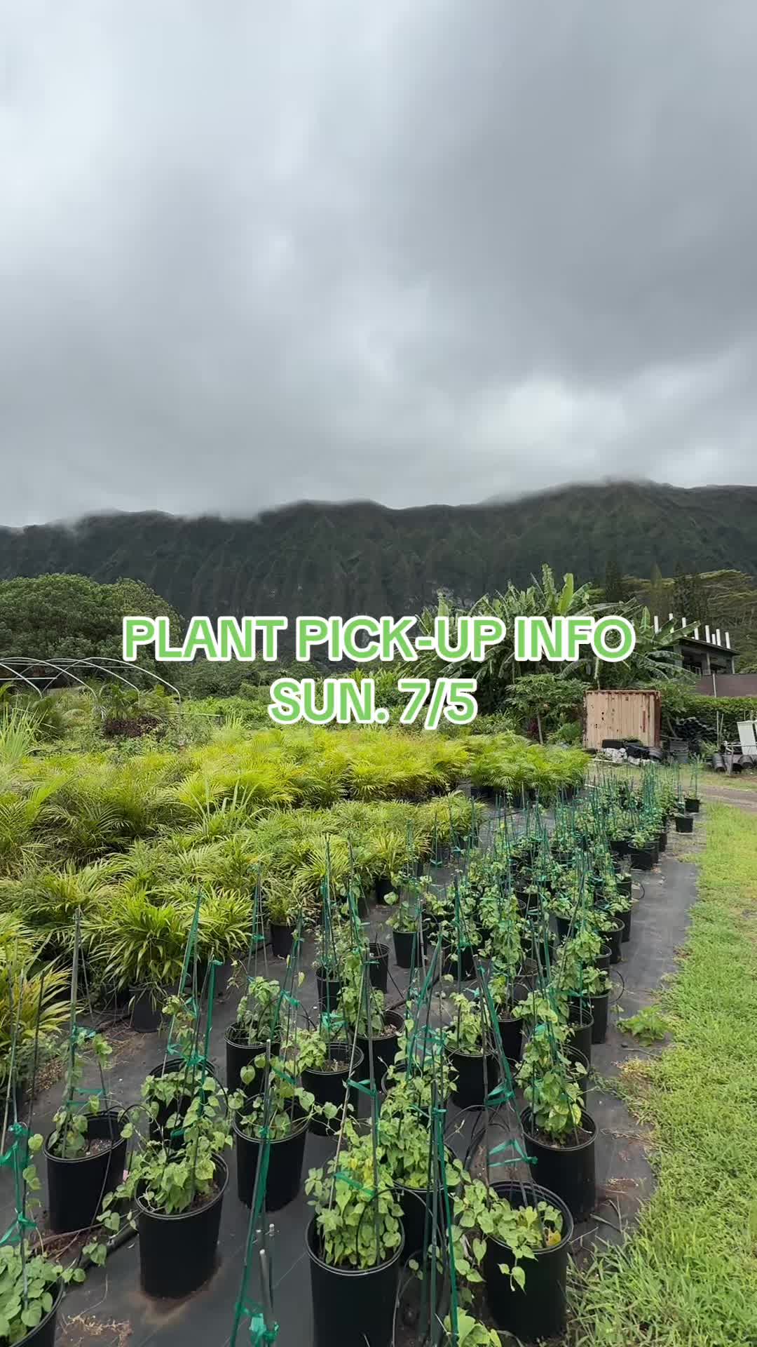 @plantedbymal 🌺