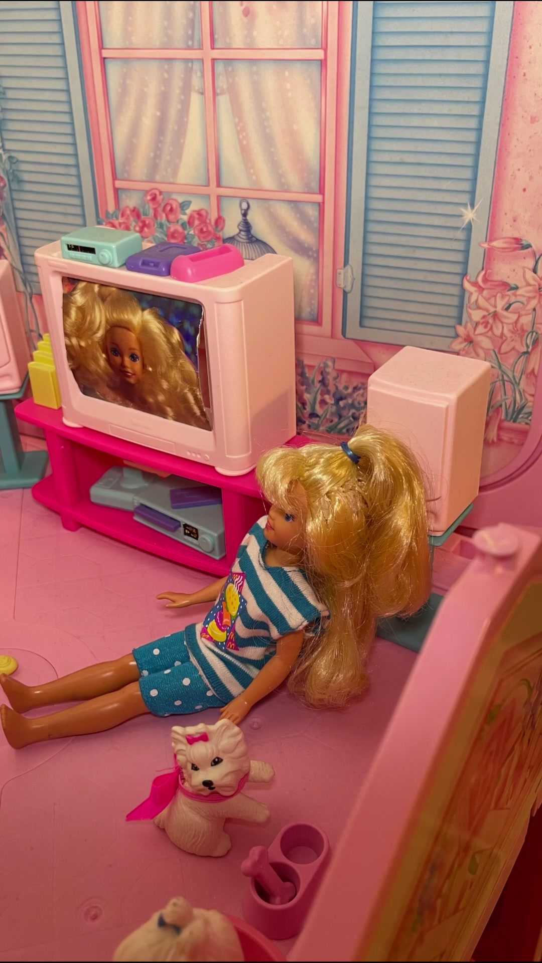 @Barbie in Sunnyville