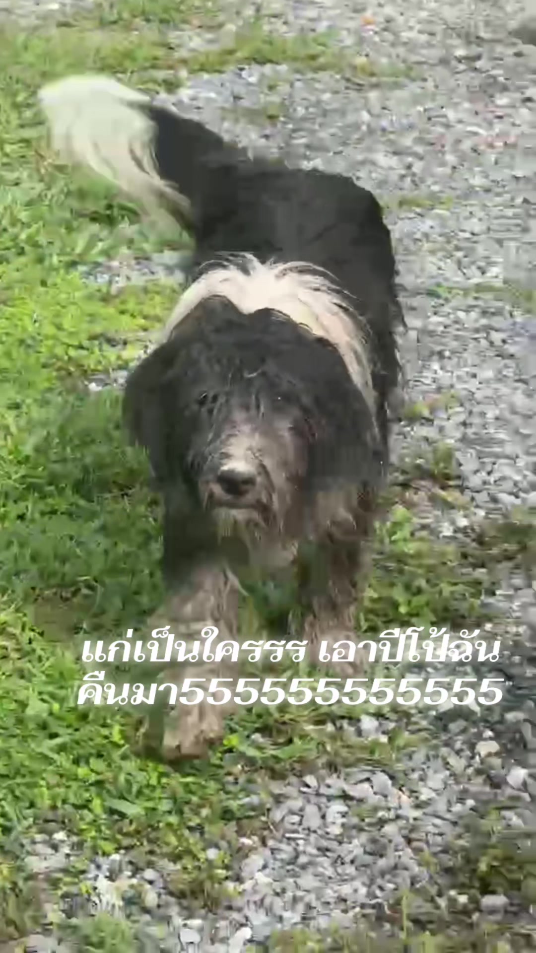 @ปะปิ้ว🐥