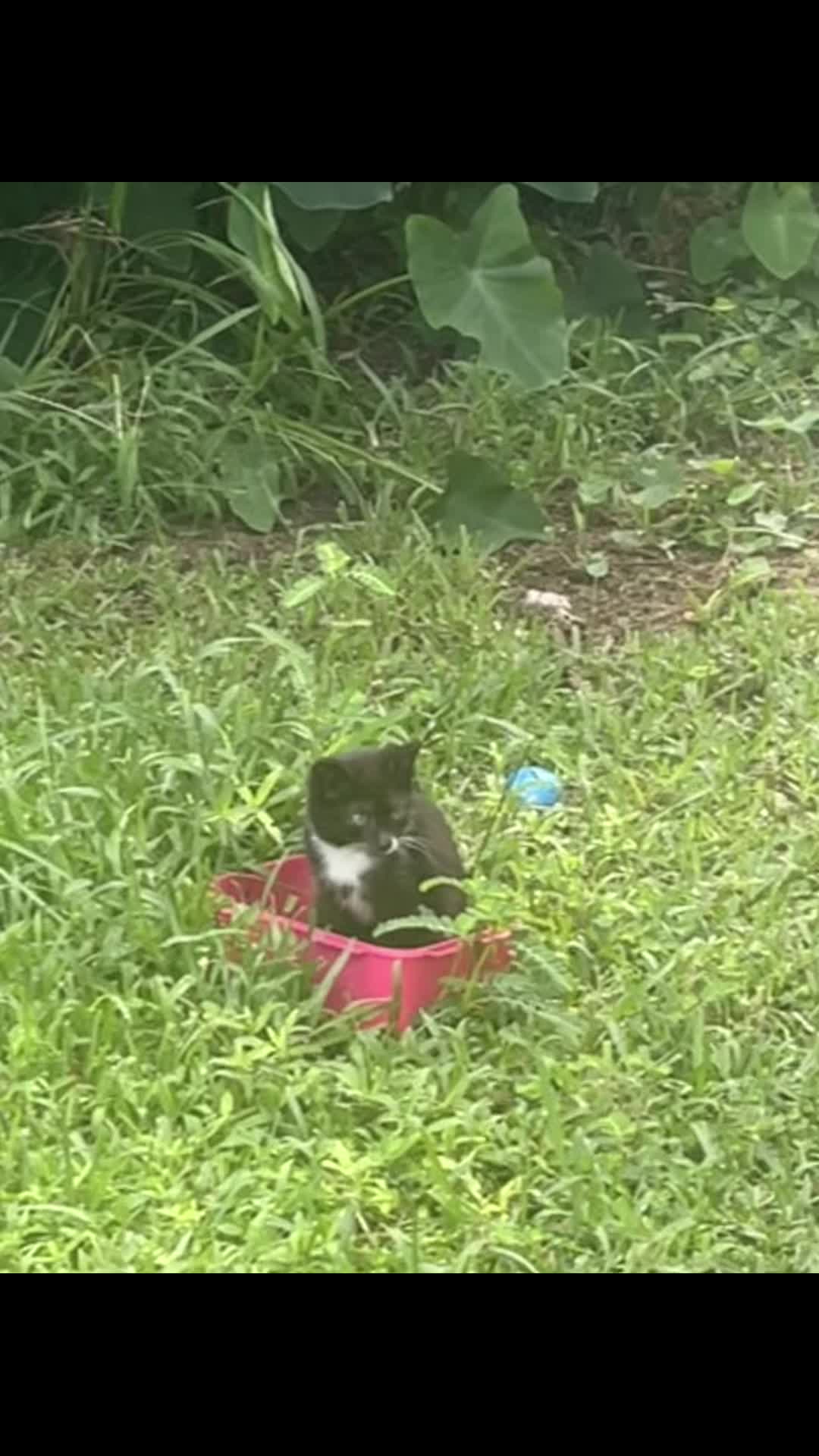 @𓄂ᬼ𓆃Oza 𓄂ᬼ𓆃