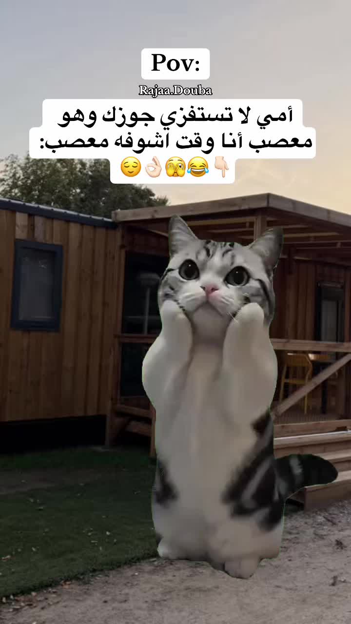 @🇸🇾Rajaa Douba🇩🇪