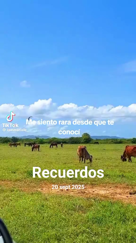 @Sol Correa