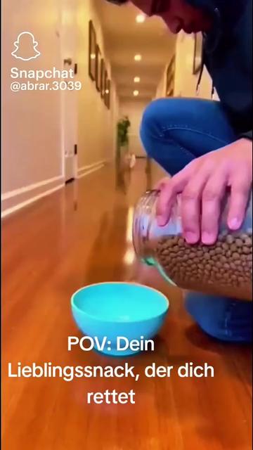 @pamelamaydonald