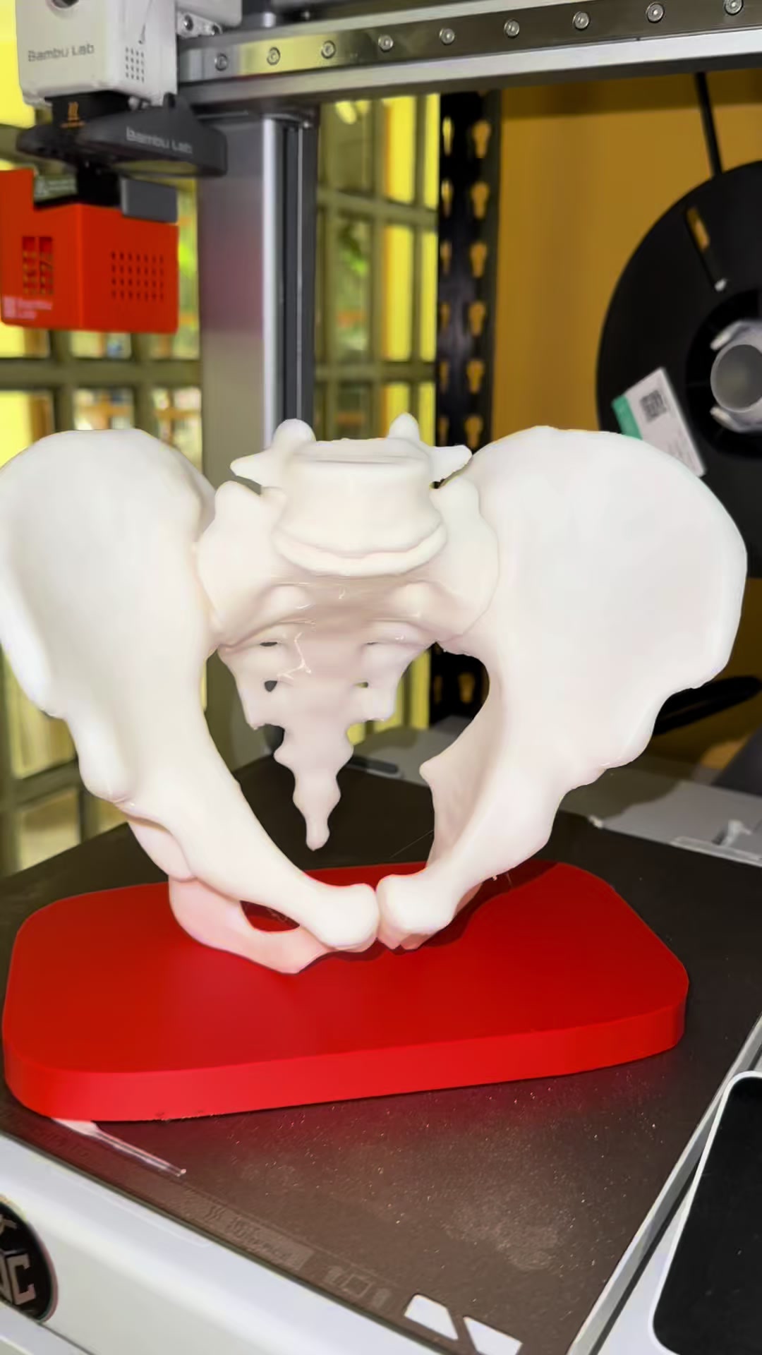 @MODO 3D