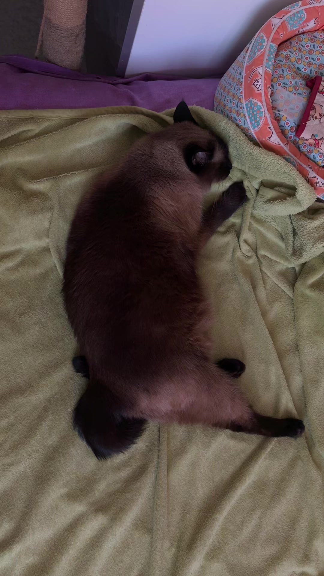 @Ольга Сью