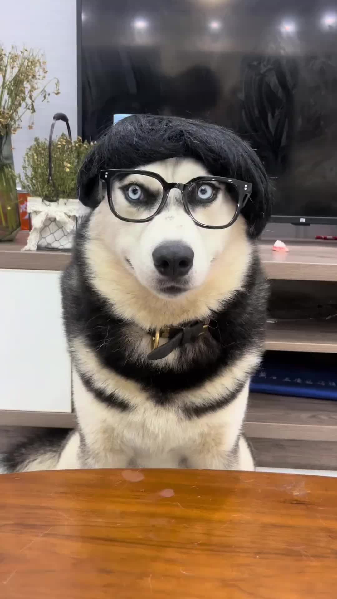 @Maxxxxxxx