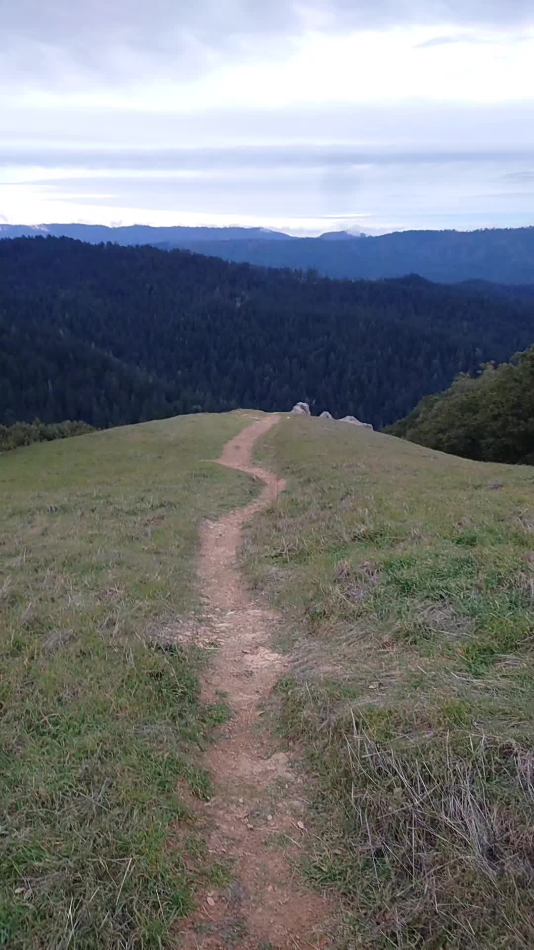 @ᥫ᭡