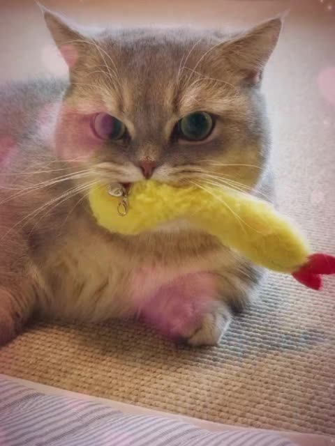 @VyyPilgrim72