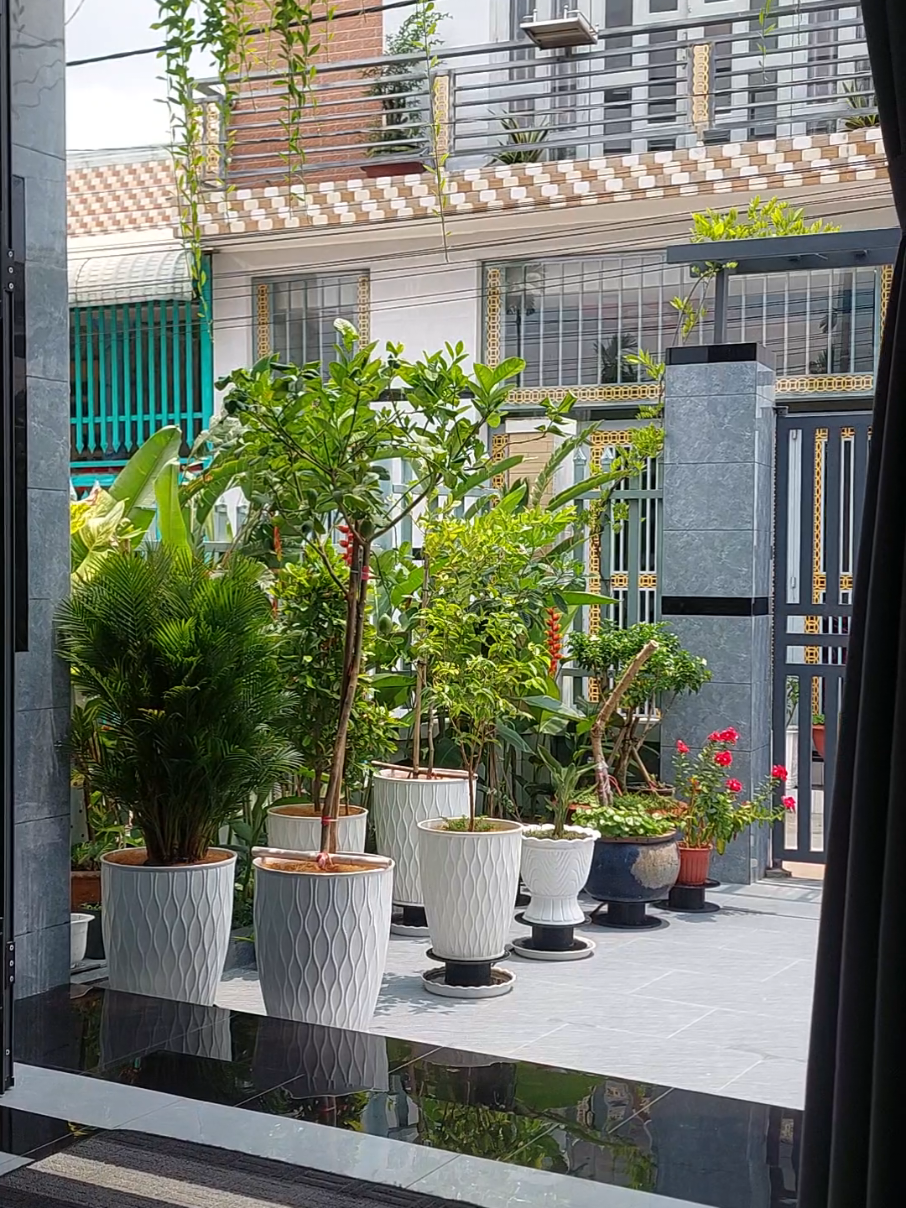 @Dương Viễn