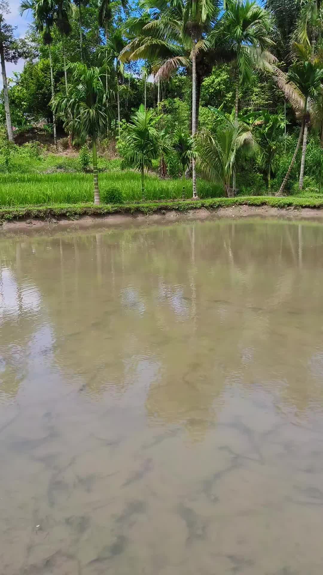 @Rio rikardo