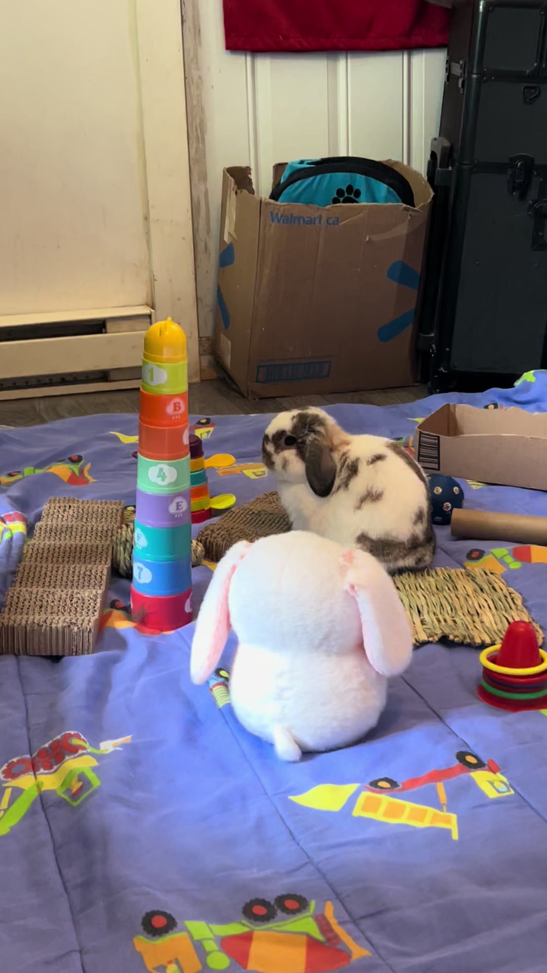 @Mrdivaandgizmoandfriends
