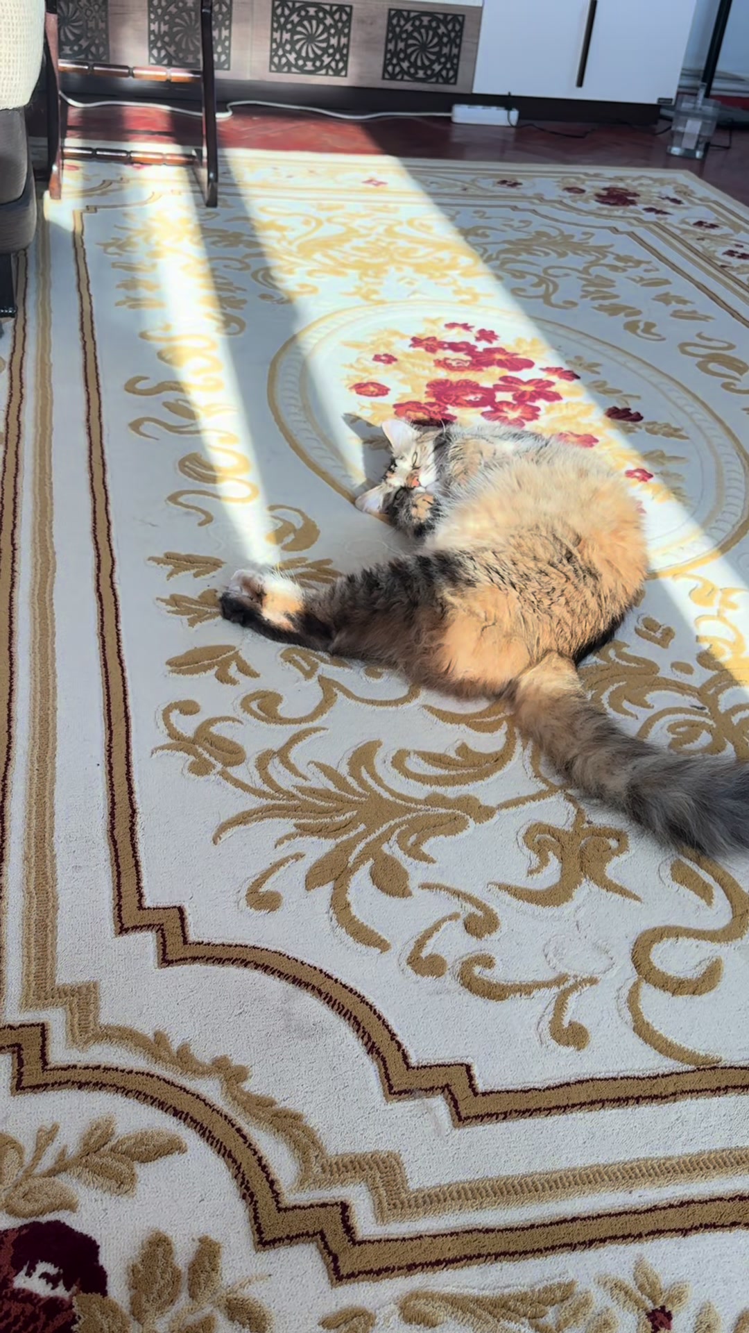 @nazlı sultan