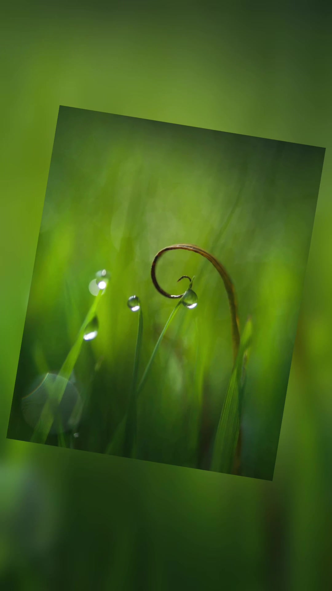 @Le Clin D&rsquo;Oeil Animal