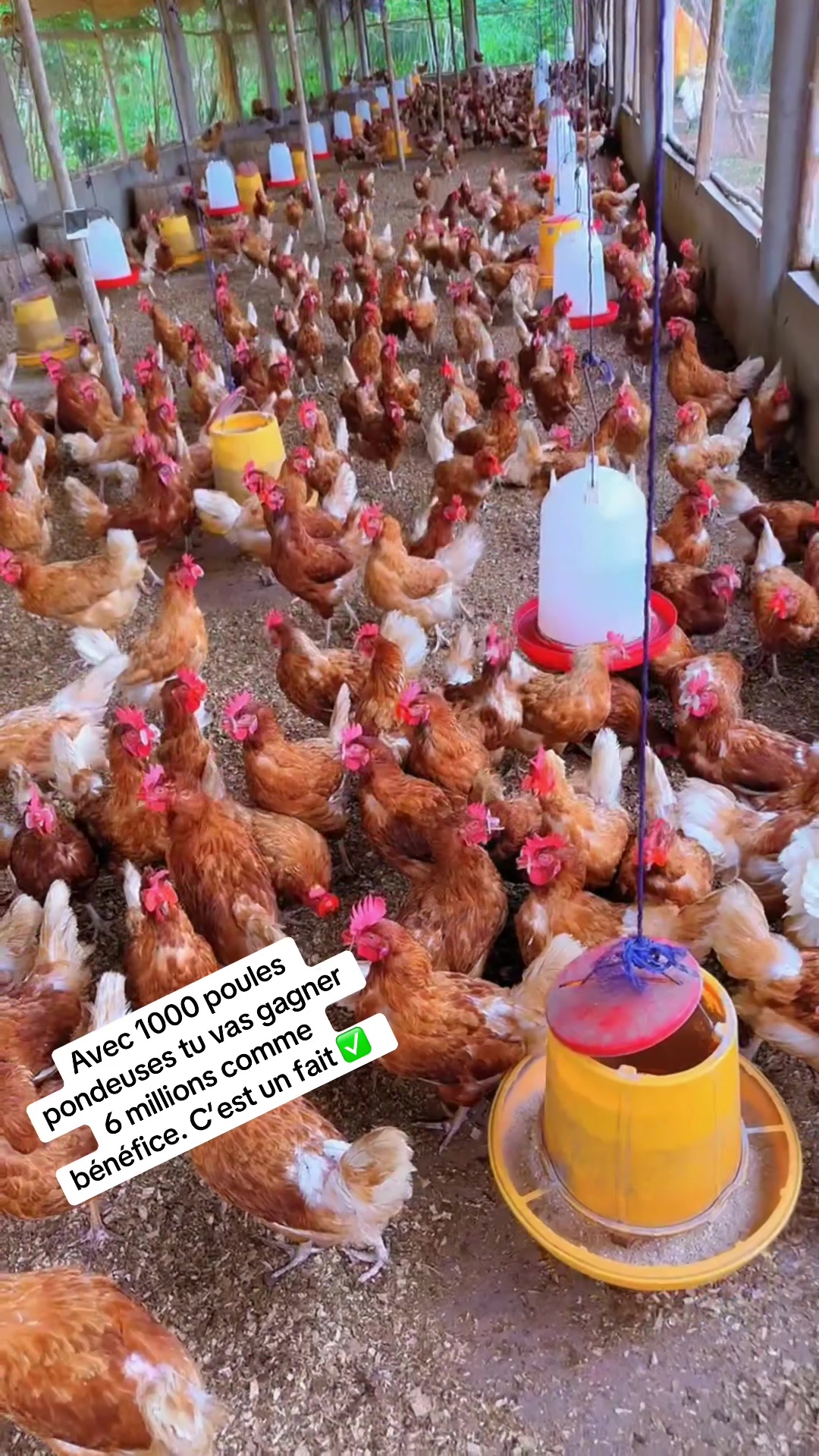 @Gragologue Solidarity