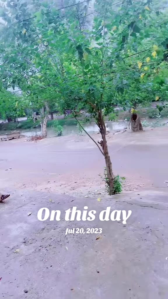 @Rozina Saeed