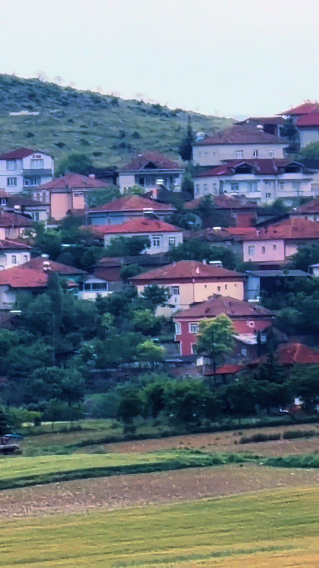 @Cevat Guducu