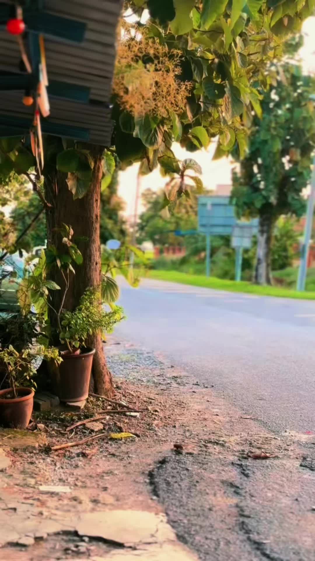 @Along_mf 🎌