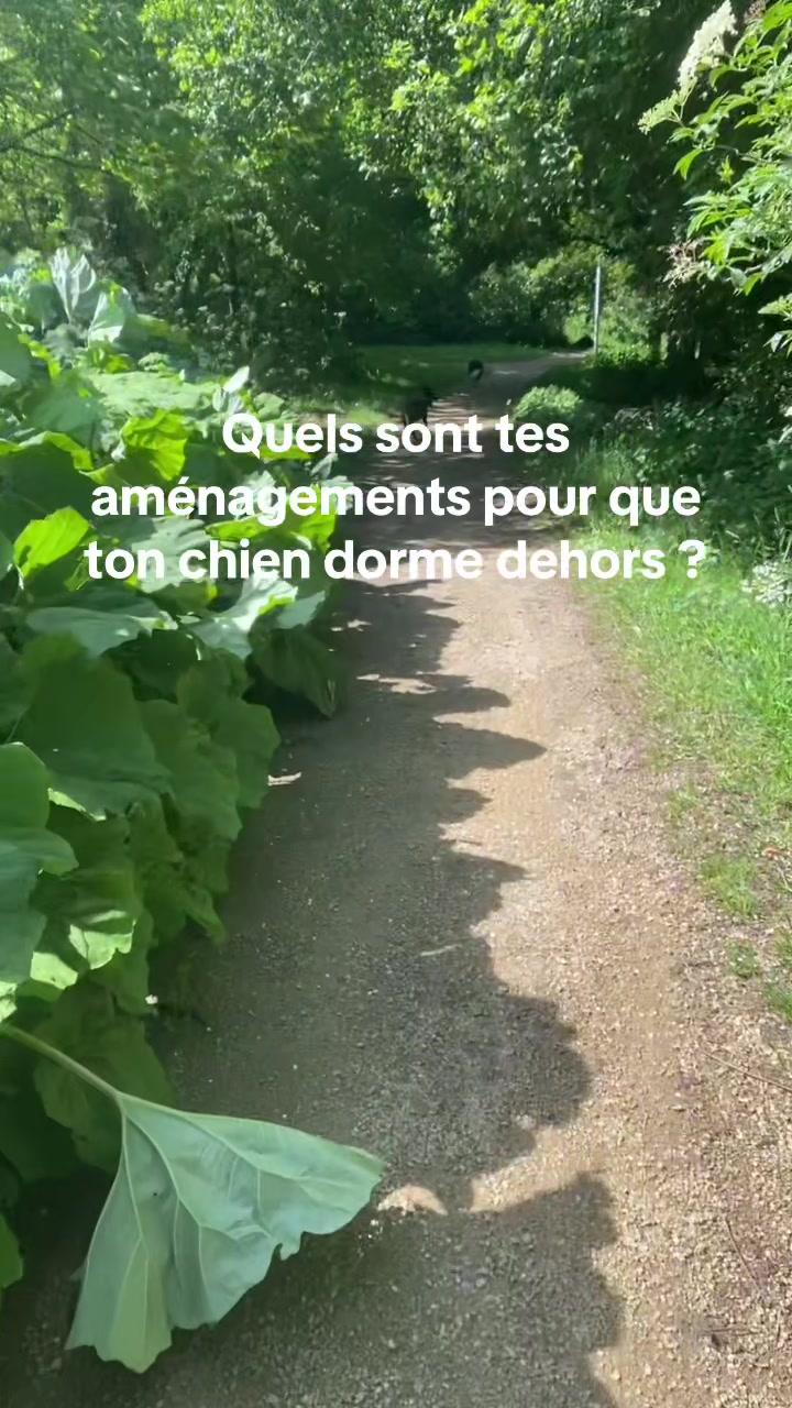 @PacoPacoPaco_le_chien