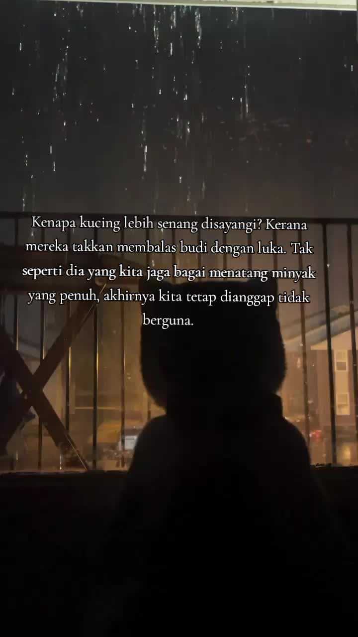@Pecinta Kucing