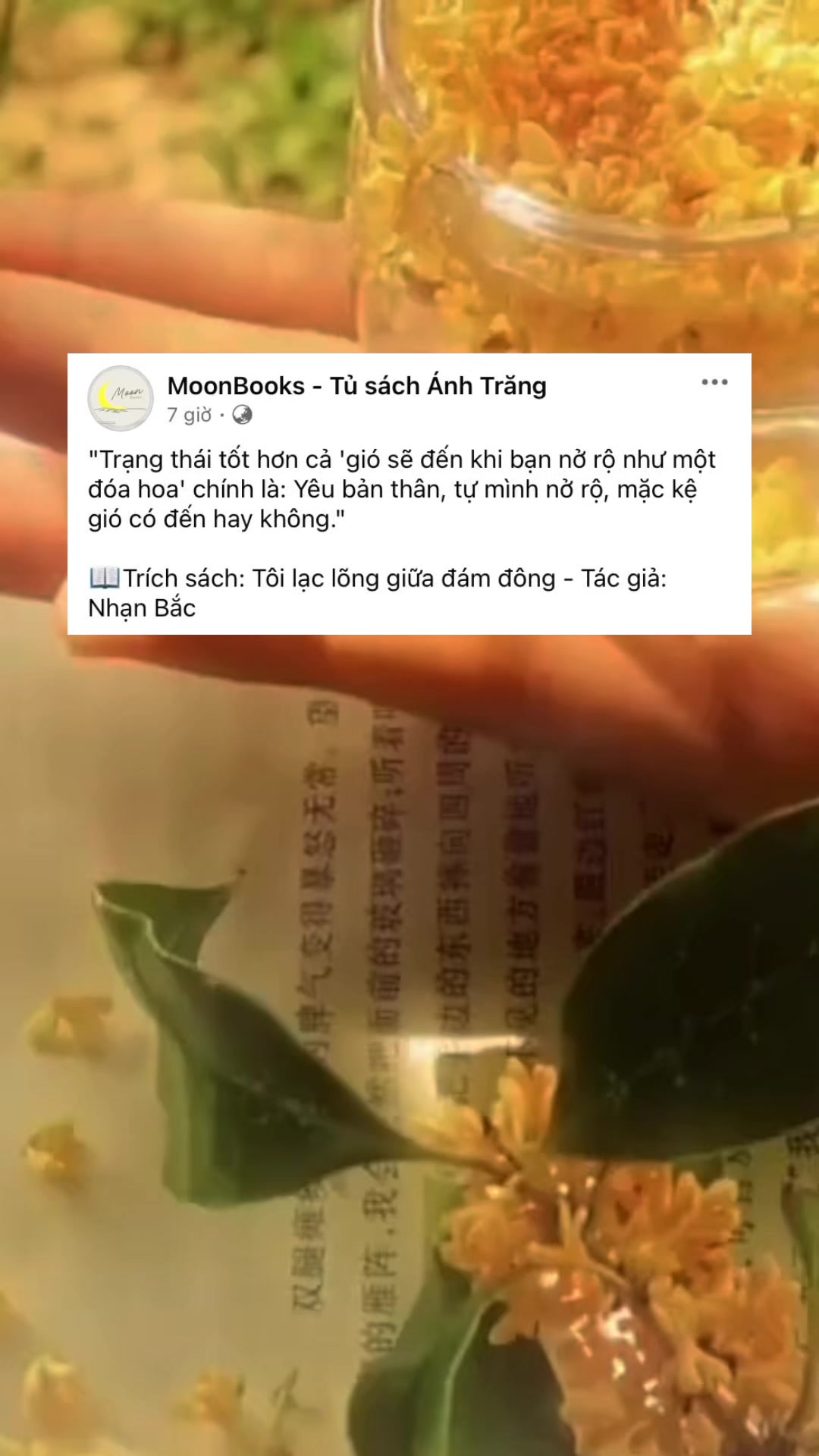 @Ở một góc nhân gian