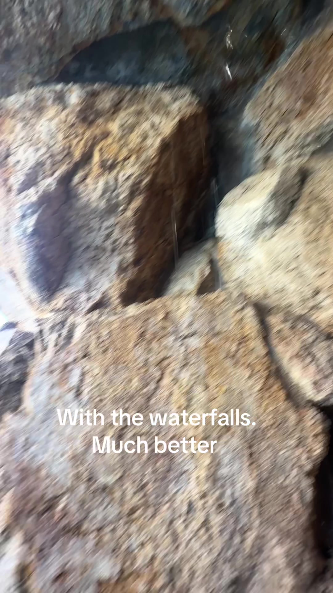 @grizzly_