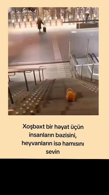 @İlkaddım♉