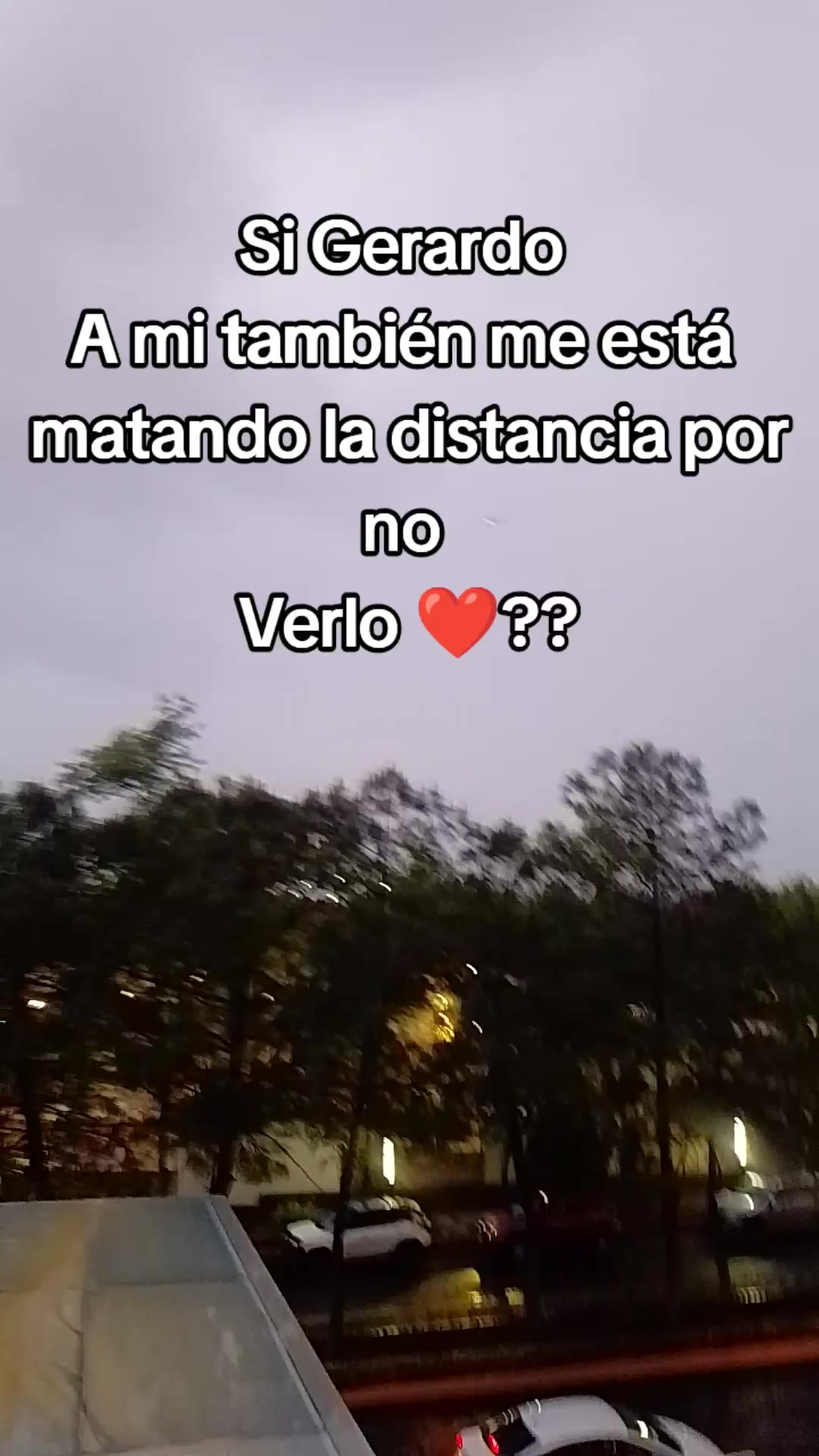 @Patricia Loza