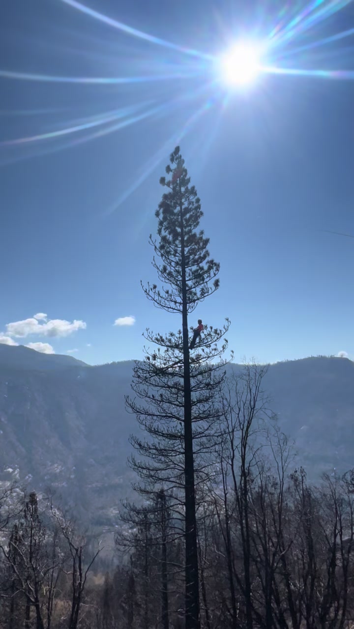 @trakazz86