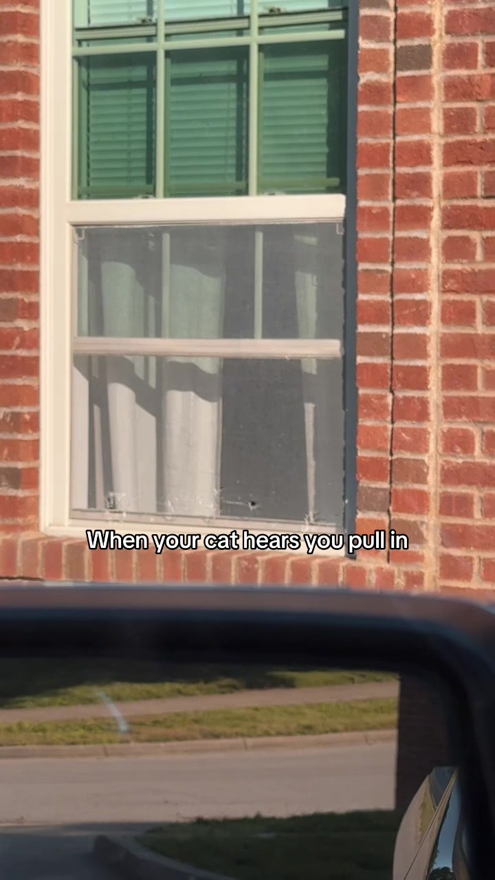 @Em🖤