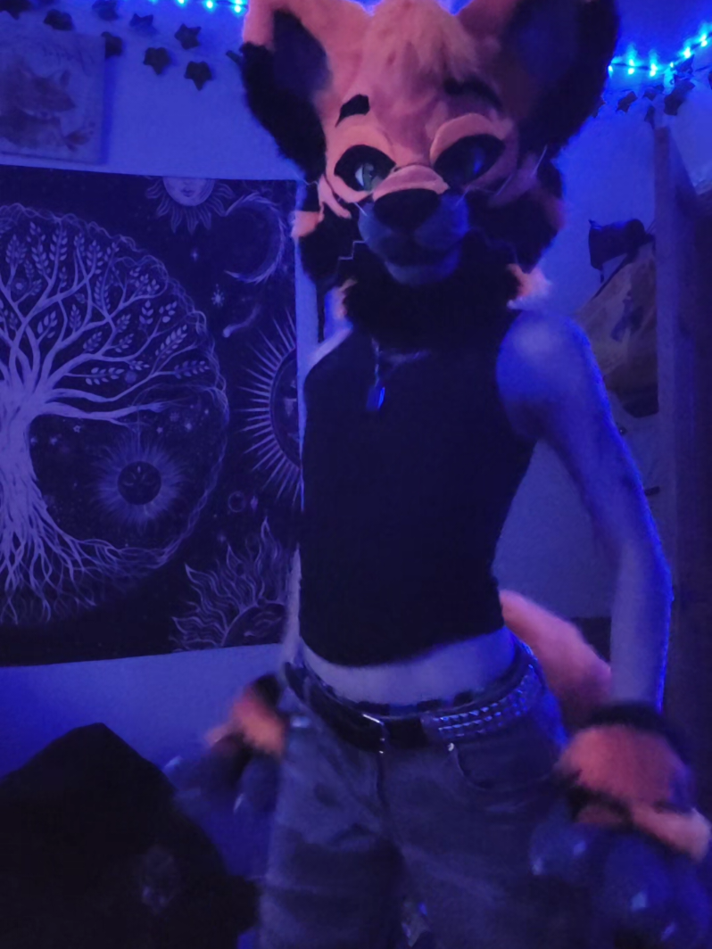 @★FrenziFox★ 🔜 Denfur '26