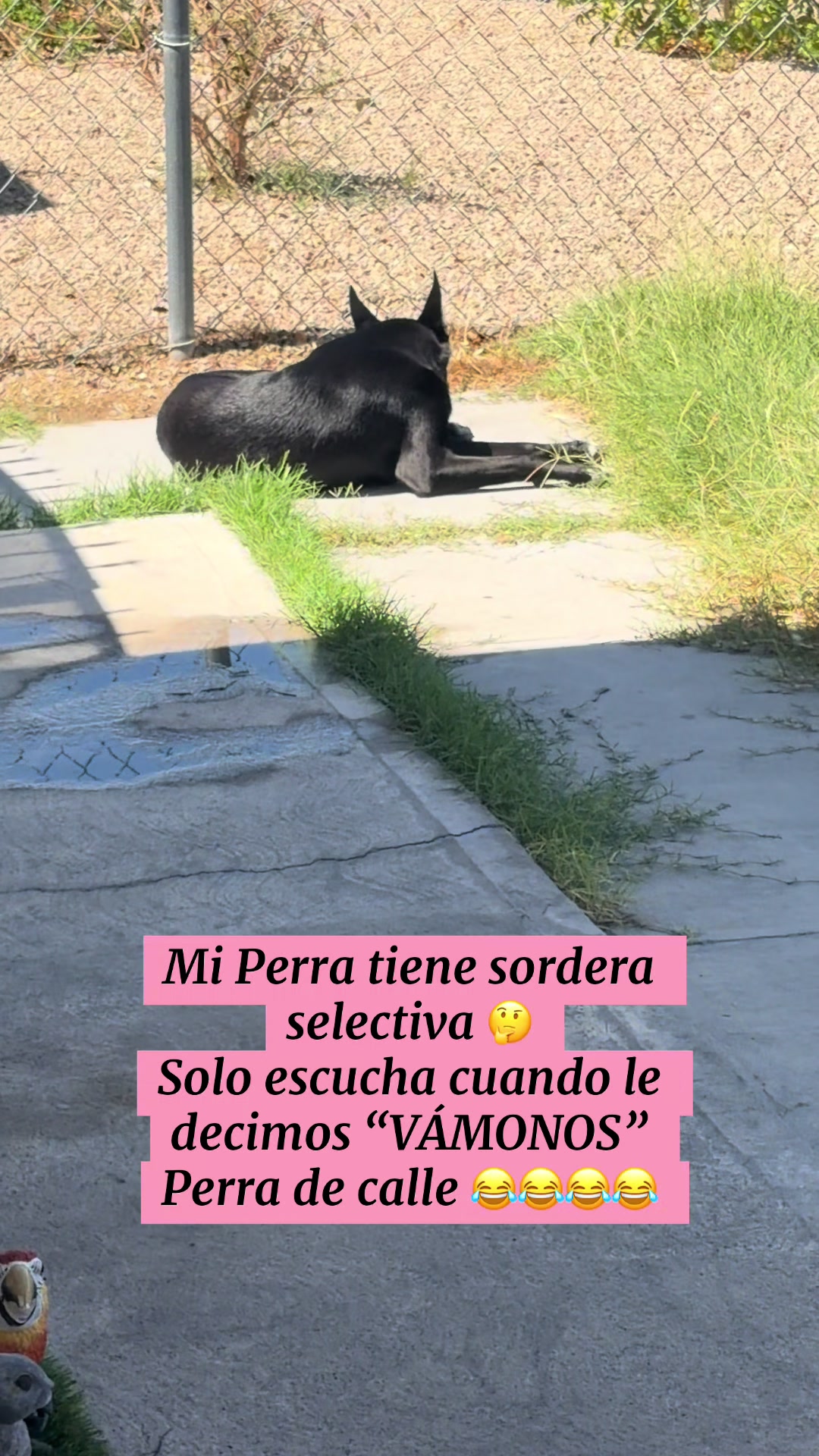 @🇳🇮🇺🇸KaMil Lezama💜❤️
