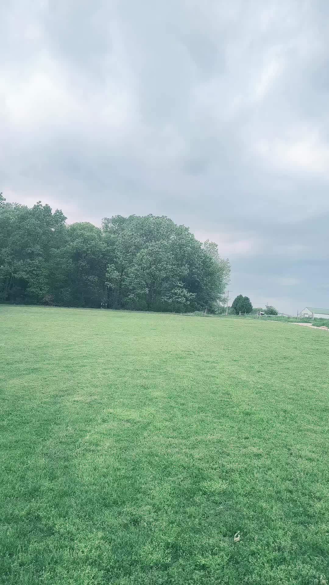 @Dom Andrè