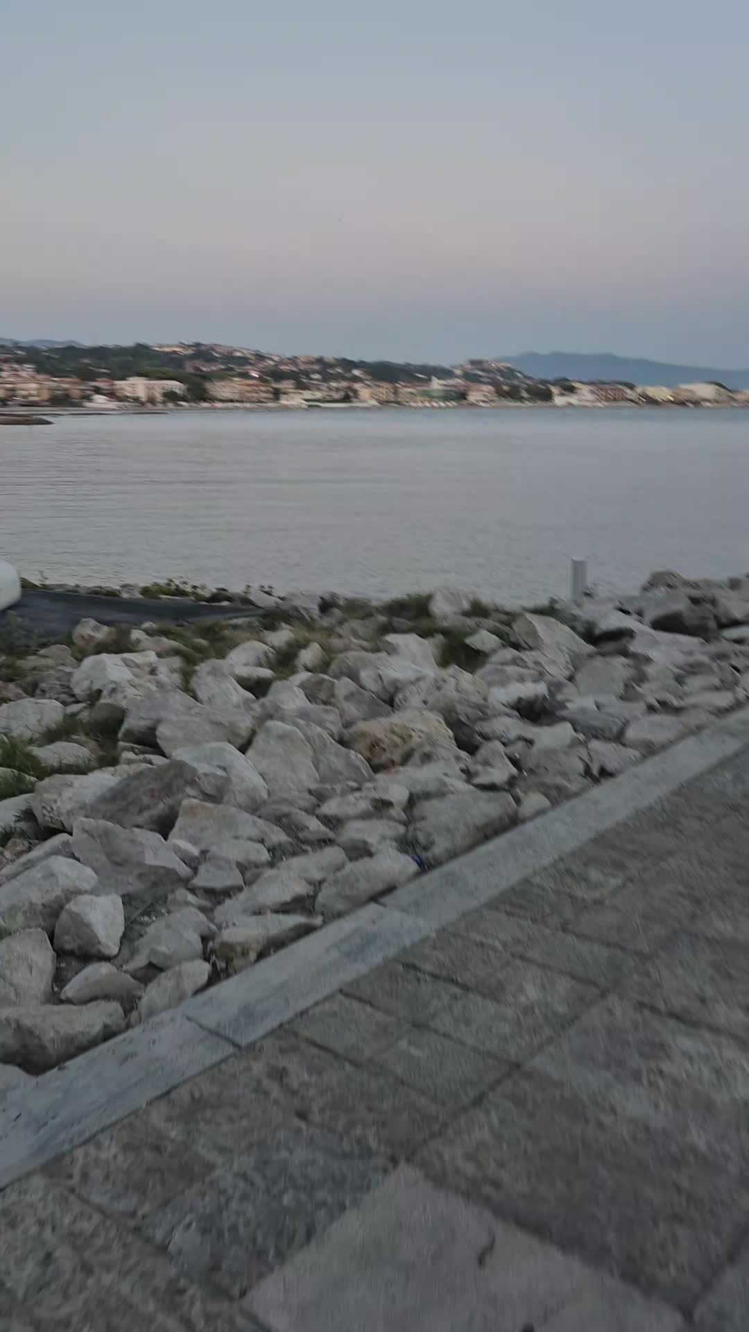 @alessandrog