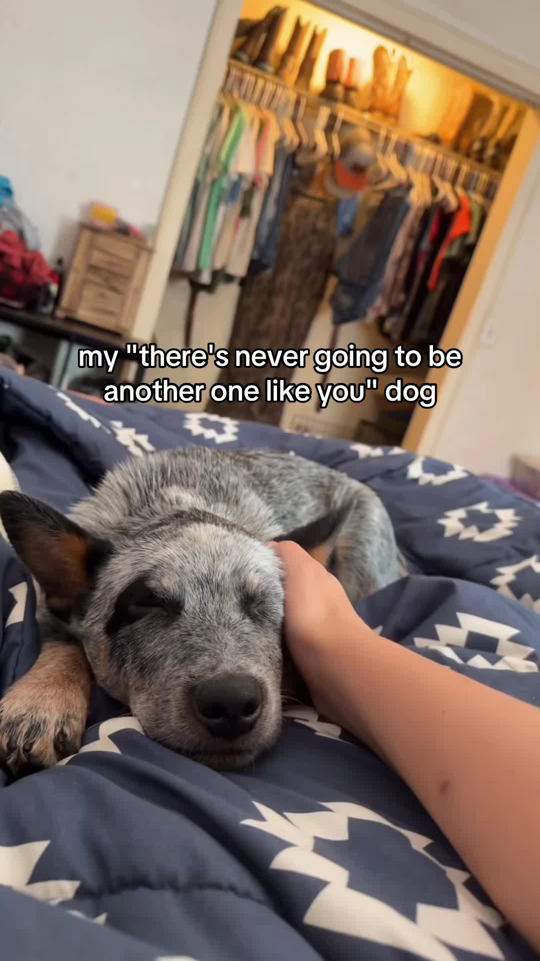 @dozer 🐾💞
