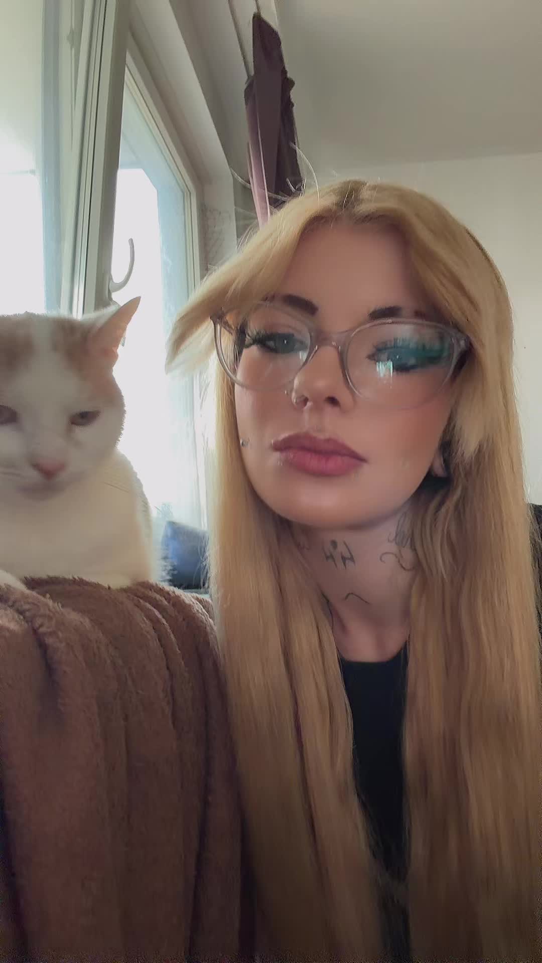 @🦋Kittycat🦋
