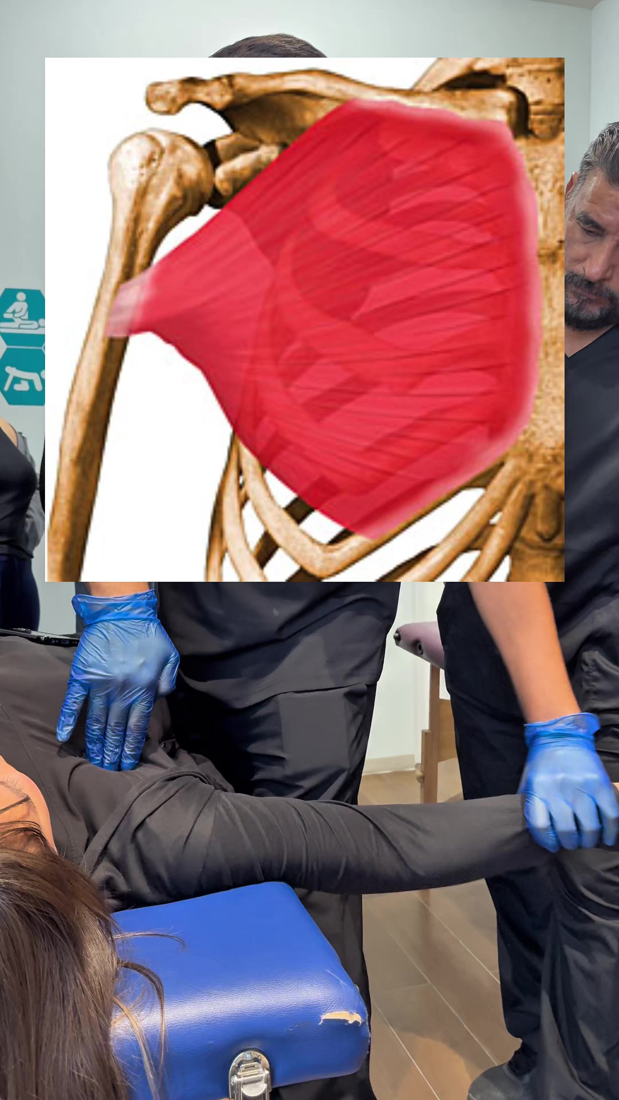 @FisioyquiroLag