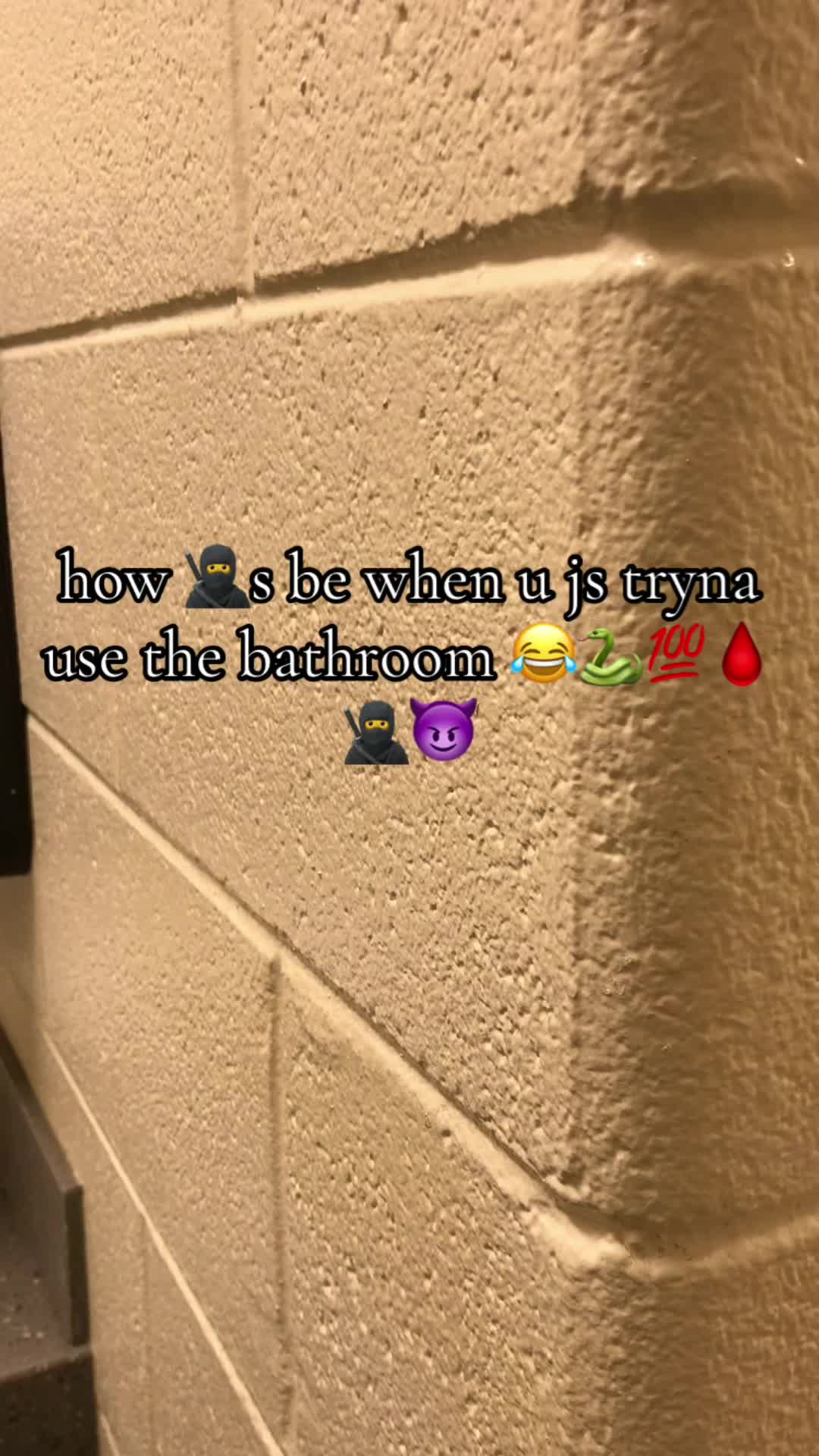 @🌴🌟🤩🤑