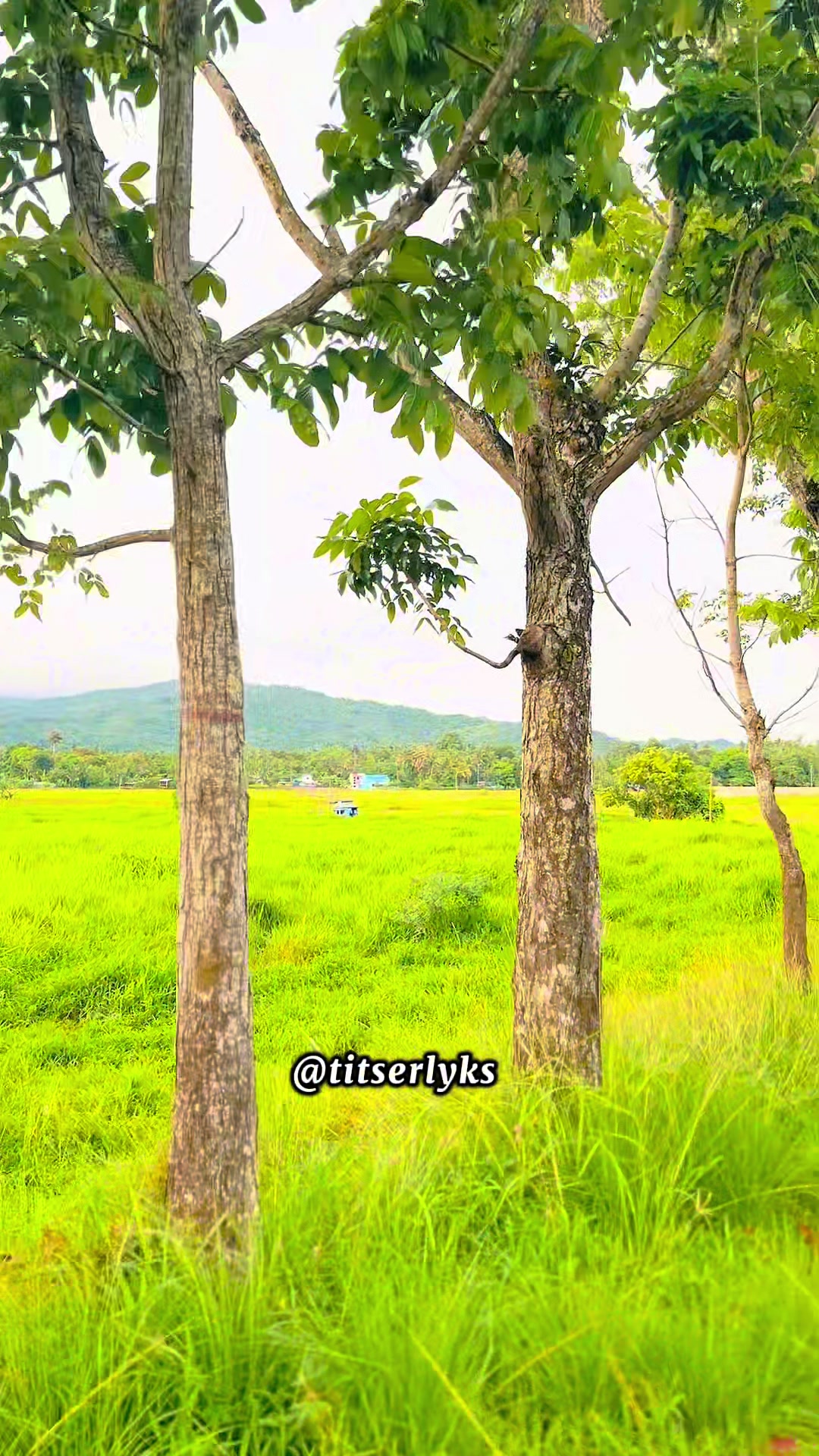 @LYKA B. ROLDAN ๐ฉ๐ซ