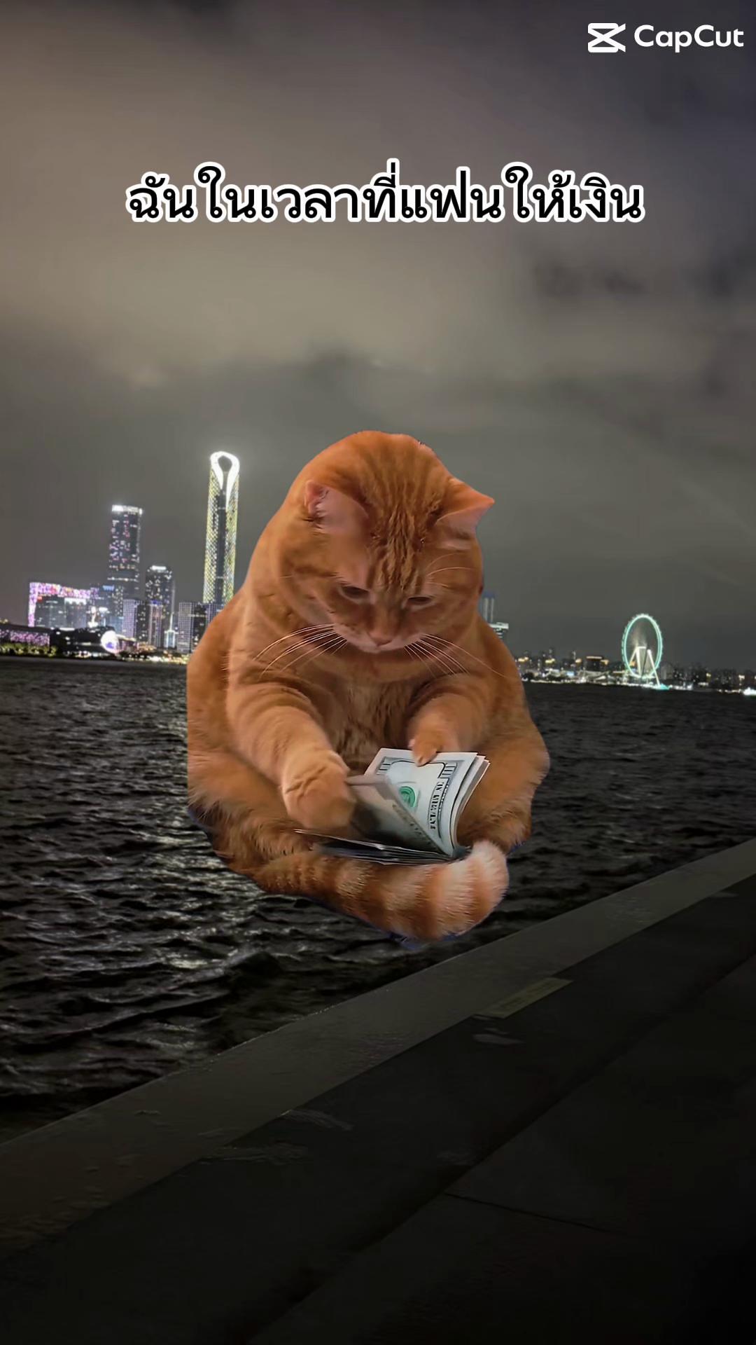 @Ramita 🐱