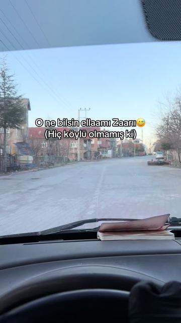 @F.S